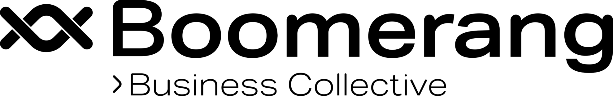Boomerang Business Collective